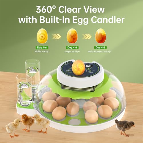 Egg Incubator with Automatic Egg Turning and Humidity Control, 18 Eggs Incubators for Hatching Eggs Chicken Quail Ducks Goose Parrot for Home Lab Farm Classroom - size: 18 Egg