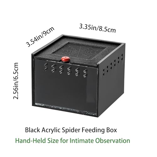 Black Acrylic Spider Feeding Box, Small Insect Breeding Enclosure, Semi-Concealed Cage with Sliding Web Lid, Hand-Held Observation Terrarium for Small Reptiles, Jumping Spiders Enclosure and Scorpions