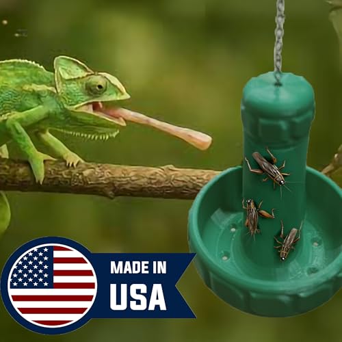 GenieYes Designs Chameleon Feeder - Designed by Chameleon Owners with Safety, Sanitation & Tounge Safety Features