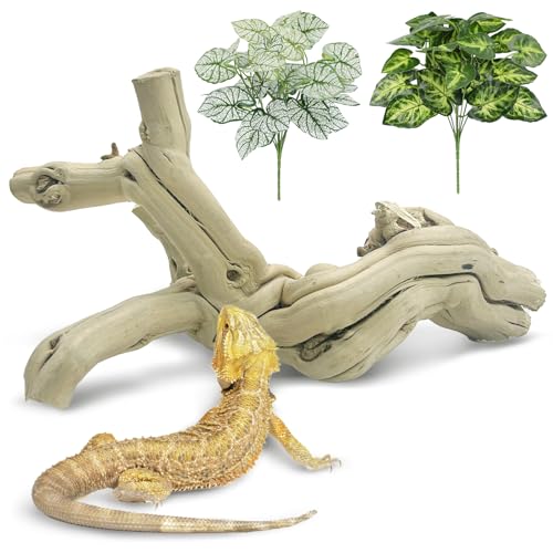 Reptile Climbing Decor Natural Snake Climb Branch Wood Forest Tree Trunk Lizard Habitat Terrarium Log Decorations for Bearded Dragon Geckos Chameleon Frog - color: Overlord Rattan Wood, size: 13-14.9 inches