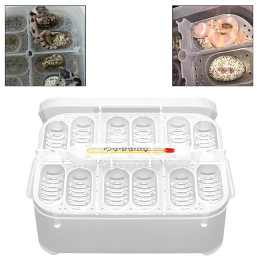 Reptile Incubation Box Reptile Incubator Egg Tray Hatching Box with 12 Grids for Turtle Gecko Lizards Mane, Reptile Incubation Box