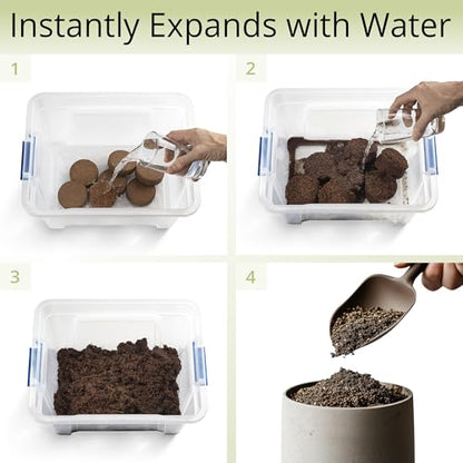 Coconut Coir Potting Soil for Indoor Plants - Expands to 2.5 Quart (5.5 lb) | Bonsai Soil Discs Perfect for General Houseplants, Herbs, and Bonsai Trees - Expands with Water - size: 2.5 Quart
