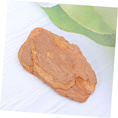 MERRYHAPY 1pack Natural Pine Bark Pad for Reptile Crawler Box Cushioned Terrarium Decor for Lizards Snails Chameleons and Geckos Bark Mat Natural Habitat
