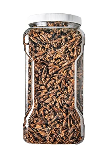 Crickets - Freeze Dried Crickets for Tropical Fish, Reptiles, Turtles, Tortoises Frogs, Hamsters, Birds, Rodents…8oz Med Jar