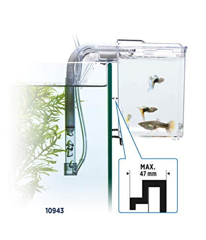 Fluval Multi-Chamber Holding and Breeding Box, Large – Up To 3 Separate Housing Compartments - size: Large