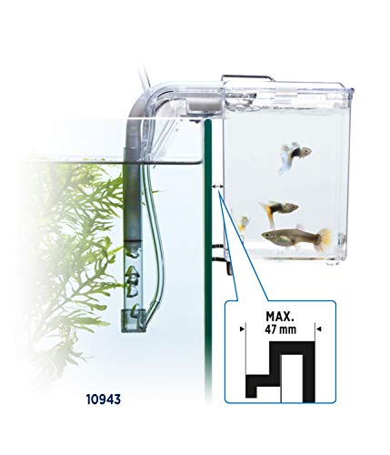Fluval Multi-Chamber Holding and Breeding Box, Large – Up to 3 Separate Housing Compartments (Pack of 6) - size: Large (Pack of 6)