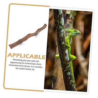 Reptile Climbing Branch Suction Cups Natural Grapevine Wood Lizard Toy for Terrarium Decor for Bearded Dragons and Geckos 12-inch Length