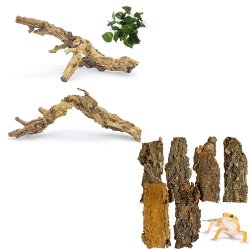VCEPJH 2 Pack Reptile Wood Branches, Snake Climbing Branch and Cork Bark for Reptiles, 6 Pcs Natural Cork Flats for Snakes Spiders Bearded Dragons