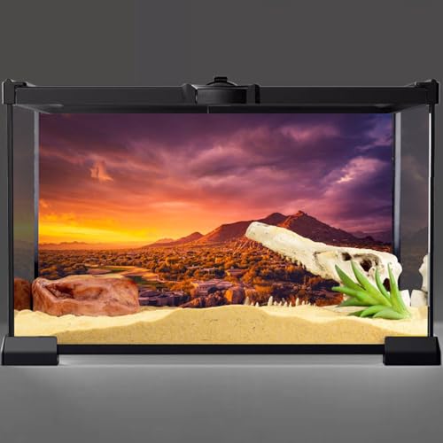 AWERT 72x16 inches Sun and Desert Terrarium Background Mountain Oasis Gobi Reptile Habitat Background Vinyl - size: 72x16in/180x40cm