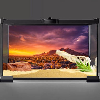 AWERT 24x16 inches Sun and Desert Terrarium Background Mountain Oasis Gobi Reptile Habitat Background Vinyl - size: 24x16in/60x40cm