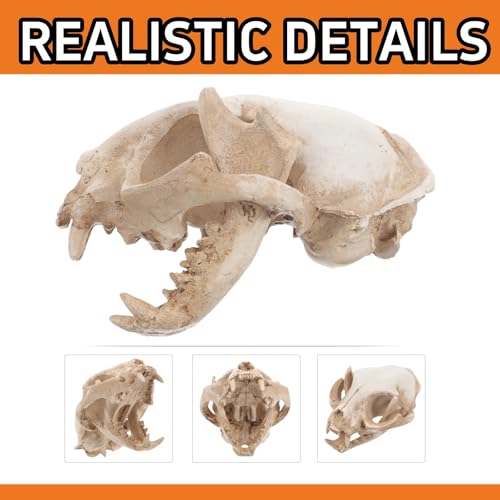 Hemobllo Aquarium Skull: Skull Aquarium Decor Resin Cat Skeleton for Fish Tank Reptile Tank Decoration Unique Handmade Craft for Home Terrarium Ornament