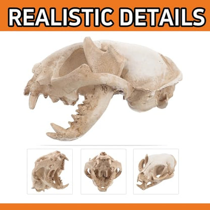 Hemobllo Aquarium Skull: Skull Aquarium Decor Resin Cat Skeleton for Fish Tank Reptile Tank Decoration Unique Handmade Craft for Home Terrarium Ornament