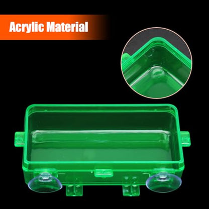 Reptile Feeder Chameleon Bowl 2 Pcs Anti-Escape Food Dish Bowl with Suction Cup for Chameleon Iguana Lizard Reptile Food and Water Feeding (Green, M) - color: Green, size: M