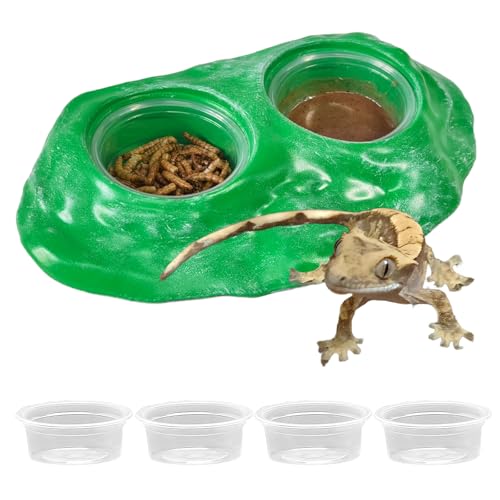 Tfwadmx Magnetic Reptile Feeder Ledge, Gecko Feeder Ledge with 4 Cups Reptile Feeding Bowl Terrarium Accessories for Geckos Lizards Chameleons Frog (Green) - color: Green