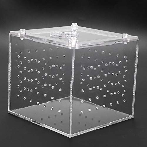 GLOGLOW Nan Clear Acrylic Reptile Viewing Box, Durable Feeding Container for Tarantula and Gecko, 3.9x3.9x3.5 Inch with Ventilation Holes Crawler Breeding Tools, Reptile Hatching Supplies