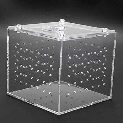 Reptile Breeding Acrylic Box Durable with Ventilation Holes for Snakes, Lizards, and Insects 3.9 * 3.9*.5in for Tarantulas, Geckos, and Crickets