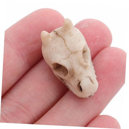 jojofuny 20pcs Resin Mini Dragon Skull Yard Ornaments for Outdoor Garden Lawn Decoration, Small Skull Figurines for Fish Tank and Terrarium, Dragon Head Resin Sculptures