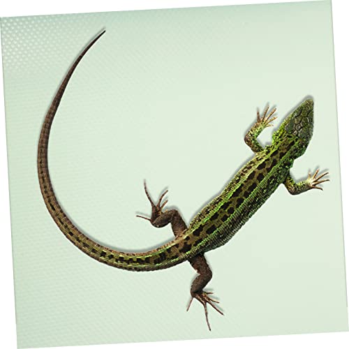 Reptile Carpet Snake Mat Bearded Dragon Tank Liner Large Washable Terrarium Supplies