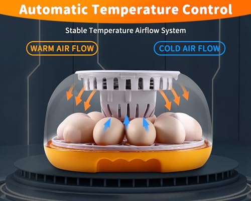 Gpeng Egg Incubator, 12 Eggs Incubator with Auto Egg-Turning, Auto Temperature Control, for Hatching Chicken Goose Pigeon Quail Duck - size: 12-Eggs