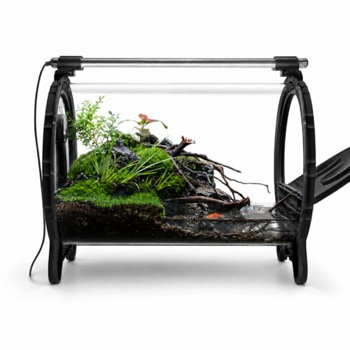 Bioloark HZ-230 Large Glass Terrarium Paludarium for Moss, Reptile Terrarium & Habitat, Black, 14.8" x 9.8" x 12.3" - color: Black