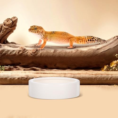 Mikikit 2 Pcs White Ceramic Lizard Feeder Bowls with Anti-Escape Design, Safe Round Small Feeding Dishes for Reptile Food and Water, for Small Reptile Animals