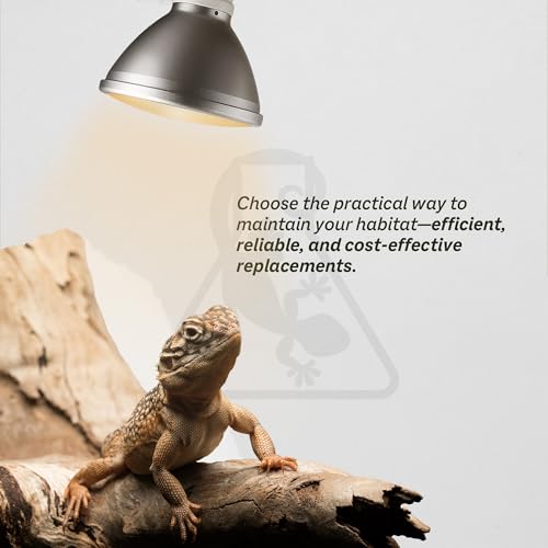 Reptile Systems Replacement Bulb Eco Halogen White Spot Lamp – White 75w, 2 Count – Replacement Bulb Kit for Reptiles & Amphibians – Light for Tanks, Vivariums & Crested Geckos