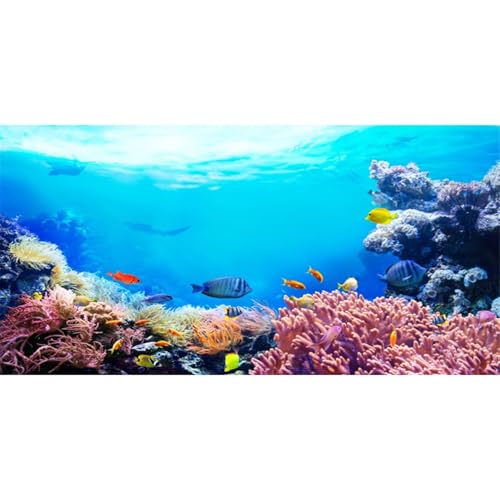 AWERT 48x20 inches Underwater Aquarium Background Colorful Coral Tropical Fish Undersea World Fish Tank Background Vinyl - size: 48x20in/120x50cm
