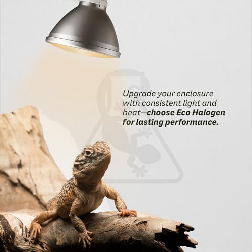 Reptile Systems Eco Halogen – White 50w – Lamp for Reptiles & Amphibians – Light for Tanks, Vivariums & Crested Geckos - size: 50 Watts