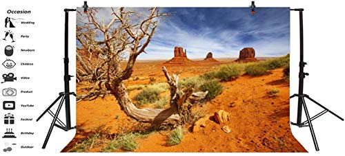 Leyiyi 7x5ft Monument Valley Photography Background American National Park Navajo Tribal Park Cowboy Western Desert Plant Rock Dry Trunk Warship Landmark Film Polyester Backdrop Terrarium Background - color: Desert4, size: 7x5ft-P