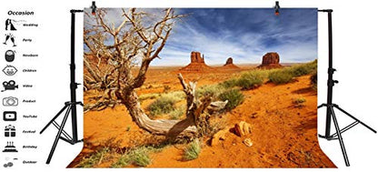 Leyiyi 5x4ft Monument Valley Photography Background American National Park Navajo Tribal Park Cowboy Western Desert Plant Rock Dry Trunk Warship Landmark Film Polyester Backdrop Terrarium Background - color: Desert4, size: 5x4ft-P