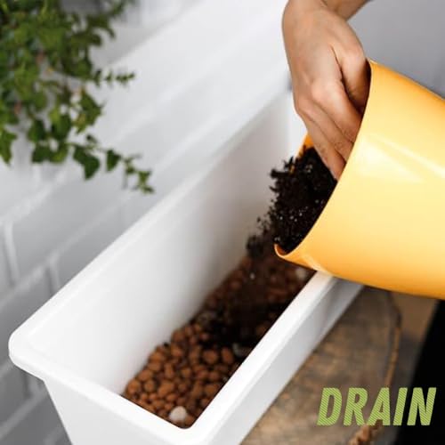 PGN Clay Pebbles for Hydroponic Growing - 5 Liters (2 Pounds) - Organic Expanded Clay Balls for Plants - PH Neutral Leca for Plants - Aquaponics and Hydroponics Supplies in a Resealable Storage Bag - size: 5 Liters (2 Pounds)