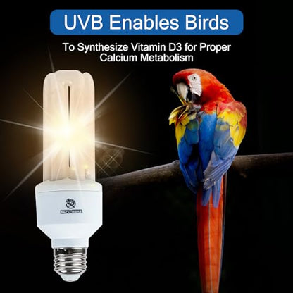UVA UVB Light Bulb for Birds 2.4 UVB 20W Compact Flourescent Lamp for All Kinds Captive Birds