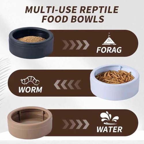 Reptile Bowl | Anti-Escape Worm Feeder Cups | Hermit Crab Water Dishes - for Gecko Bearded Dragon Lizards Hermit Crab Snail Pet Store Terrarium Tank