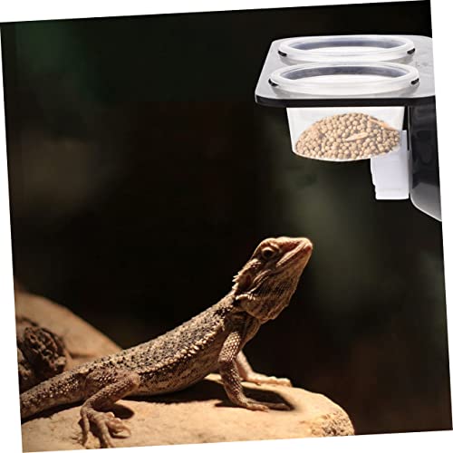 BESPORTBLE 1set Suction Cup Feeding Bowls for Reptiles Practical Reptile Water and Food Dispenser Bowls and Easy to Clean Feeding Tools for Turtles Lizards and Geckos