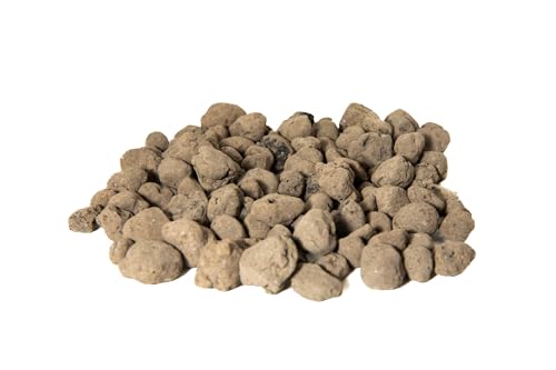 Finn's Frog Farm False Bottom Expanded Clay Pebbles - (1 Gallon), Brown