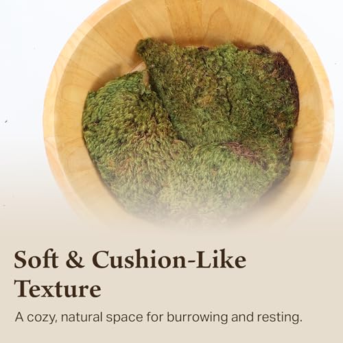 The Habitat Life - Natural Mood Moss - for Reptiles, Amphibians & Invertebrates Terrariums - Moisture-Retaining - Humidity Control - Soft Bedding - Dye-Free & Safe - Small - 1 Pack - size: Small, style: Mood Moss