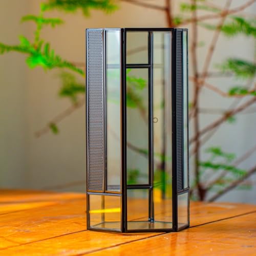 NCYP Small Glass Enclosure Terrarium with Mesh and Door for Spiders - Hexagon Shape Small Mantis Vented Glass Terrarium 4.9'' x 4.3'' x 9.4'', Tabletop Decor, Black (Plants Not Include) - size: 4.9'' x 4.3'' x 9.4''