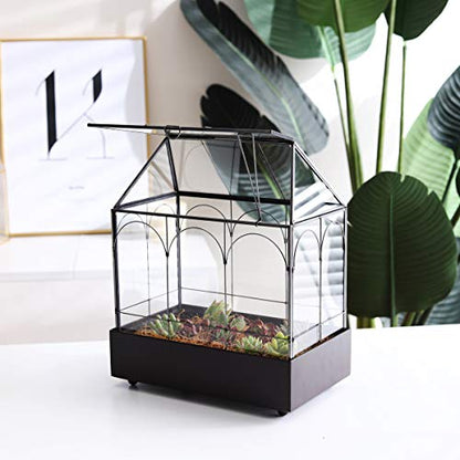 Large 11.5" Tall Plant Terrarium Glass – Glass Greenhouse Terrarium with Lid and Tray,Indoor Tabletop Orchid Succulent Cacti Terrarium