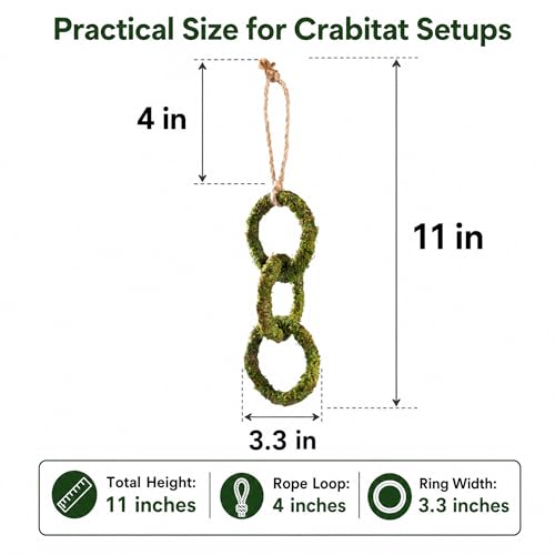Hermit Crab Climbing Toy, Hanging Moss Climbing Rings for Hermit Crab Tank Accessories, 11 in Crabitat Decor with Rope, Textured Hermit Crab Climbing Accessory for Small Hermit Crabs