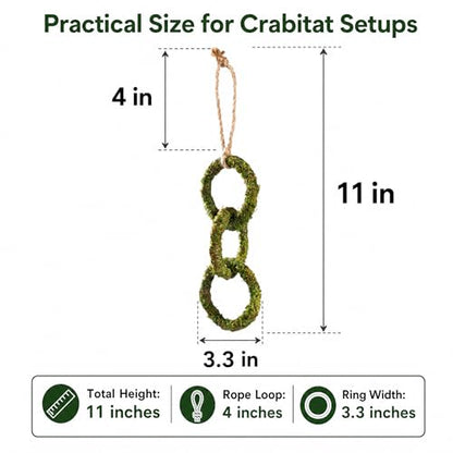 Hermit Crab Climbing Toy, Hanging Moss Climbing Rings for Hermit Crab Tank Accessories, 11 in Crabitat Decor with Rope, Textured Hermit Crab Climbing Accessory for Small Hermit Crabs