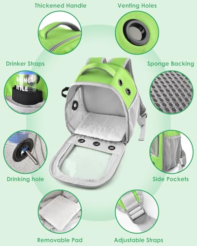 DBNESS Guinea Pig Carrier Backpack,Portable Travel Small Pet Carrier with Water Bottle Holder & Detachable Pad for Rabbits Hamsters Chinchillas Bearded Dragons Geckos Parrots (Green)
