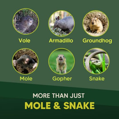 Mole & Snake Repellent, Gopher Repellent Outdoor, Vole & Groundhogs Repellant for Yard, Armadillo & Snake Deterrent for Lawn Pet Safe, Keep Snake Away for Garden/Garage, Safe to Use-10P - size: 1 Ounce (Pack of 10)