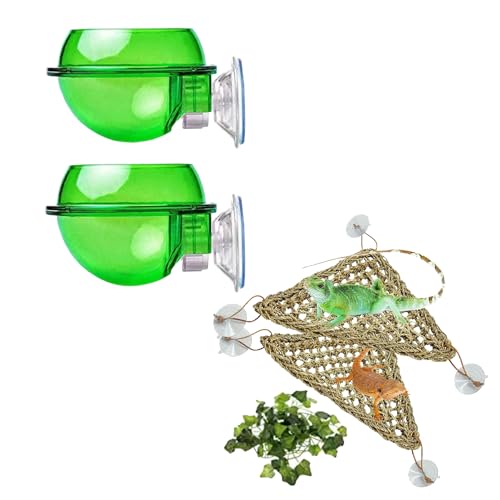 2 Pcs Chameleon Bowl (2.1" D*2.3" H) &3 Pack Bearded Dragon Hammock (11" L*8" W)