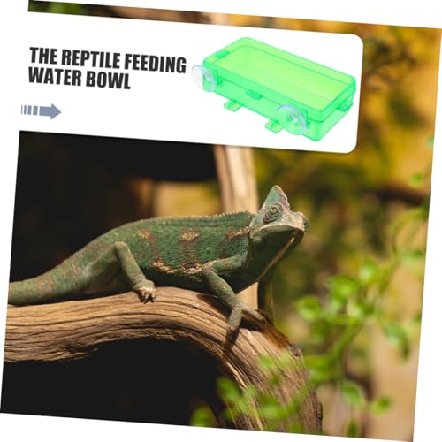 Pet Reptile Feeder Suction Cup Gecko Food and Water Bowl Escapeproof and Easy to Basin - color: Light Green, size: 13.50X6.50X3.50CM