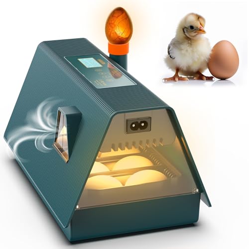 Incubator for Hatching Eggs - Ideal for All Ages - Automatic Turner and Humidity Control - Integrated Candler - 10 Eggs - Okkobi M10 - Green & Orange