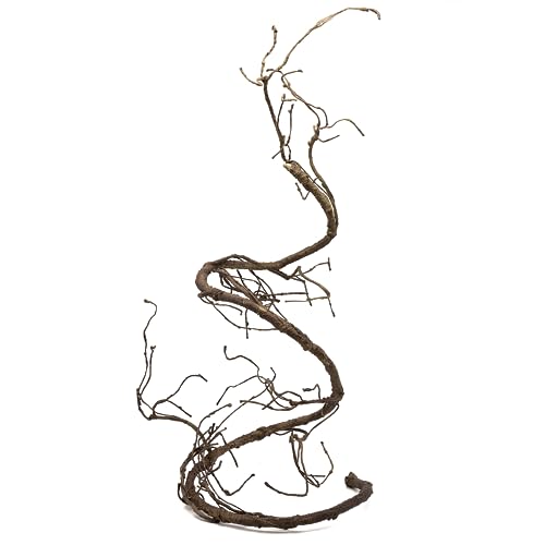 Pangea Reptile Ultimate Vine for Terrarium Habitat (Brown) - color: Brown