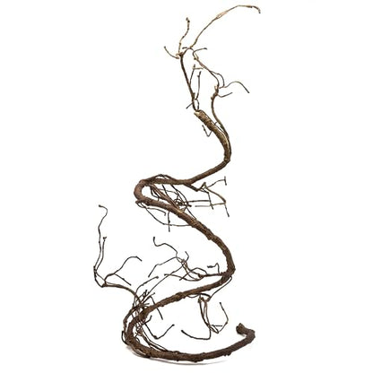 Pangea Reptile Ultimate Vine for Terrarium Habitat (Brown) - color: Brown