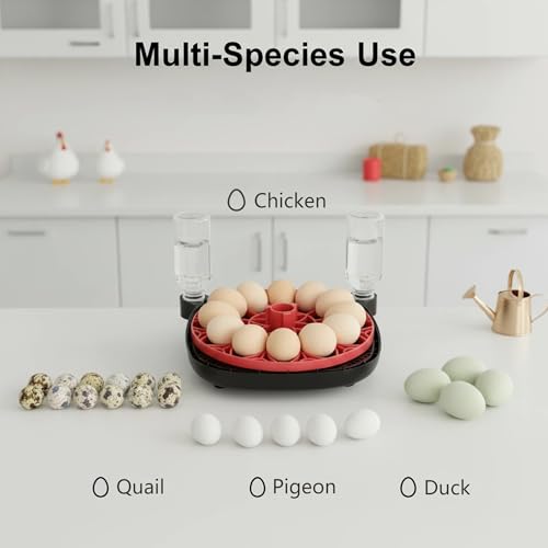 Automatic Egg Incubator for 12 Chicken Eggs with Camera APP Control | Temperature & Humidity Monitor, Auto Egg Turner, Record Life's Birth Moments for Chicken Duck Quail Pigeons