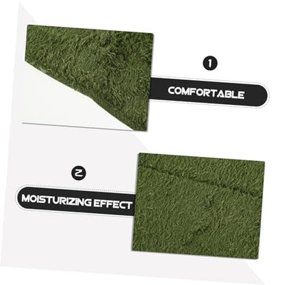 WOONEKY Reptile Carpet Lizards Bedding Fake Lawn Mat for Enclosure Terrarium Supplies - size: 20.00X20.00X0.50CM