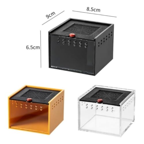 Acrylic Habitat Reptile Terrarium Breeding Box Animal Enclosure Feeding Box Transparent Material with Ventilation Holes Suitable for Hobbyists Home Display, Transparent - style: Transparent